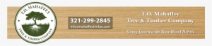 Main Page