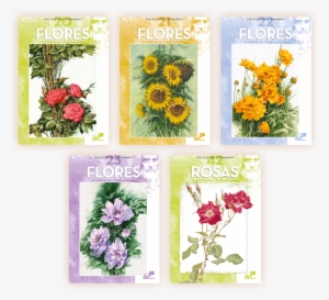 Las Flores - Maimeri Fiori 23 - Collana Leonardo