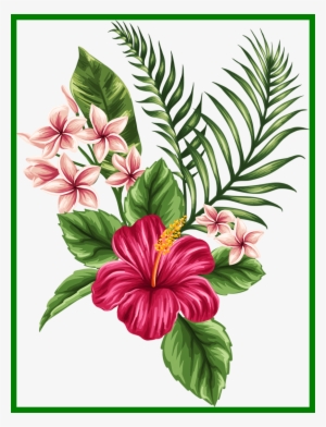 Perfect Finest Bird Of Paradise Bird Of Paradise Flower - Tropical Drawing