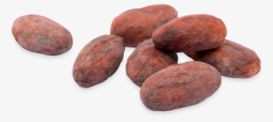 Cacao Beans - Cacao Bean Png