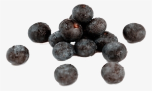 Acai Berry - Cains Of Berries In The World