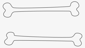 Bone Outlines Svg Clip Arts 600 X 339 Px