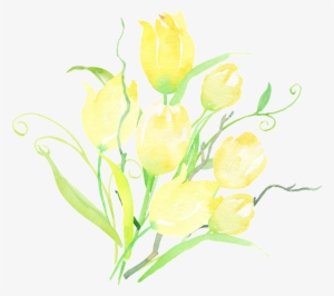 Yellow Gradient Floral Transparent - Watercolor Painting