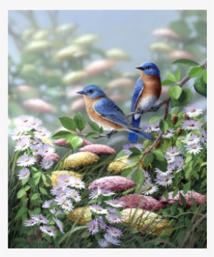 Meadow Bluebirds - Bits And Pieces Meadow Blue 300 Large Piece Round Jigsaw