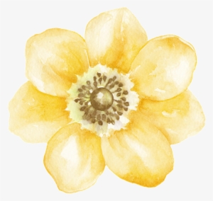 Yellow Gradient Flower Transparent Decorative - 花 Png 素材