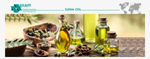 Interra International Is Actively Involved In The Vegetable - Vegetable Oils