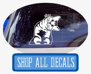 Funny Car Decals At I Love Cat Socks