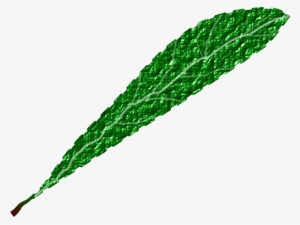 This Free Icons Png Design Of Green Leaf, Textured