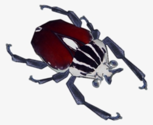 Gol - Goliath Beetle Png