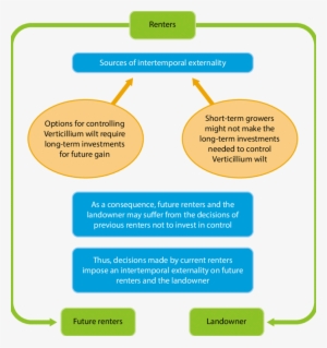 As Indicated By The Green Arrows, The Intertemporal - Renters' Insurance