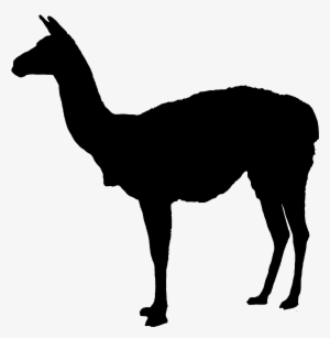 Lama-guanicoe Silhouette - Doe Silhouette Clipart
