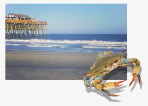 Flapjack's Pancake Cabin May Have Started In The Smoky - Chesapeake Blue Crab