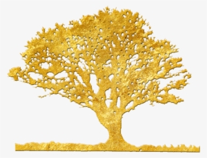 The Liquid Gold In Skincare Has Come - Argan Tree Logo