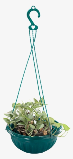 Others E 519 9 Hanging Flower Pot - Flower For Container Transparent Png