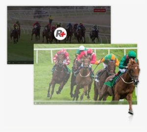 Racing Fans Can Also Watch On-demand Race Replays For - Horse Racing Shutterstock
