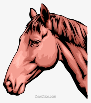 Horse Head Royalty Free Vector Clip Art Illustration - Horse Head Clip Art