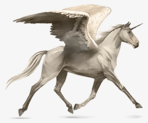 Horse Alado Aladus Cavalo Asas Wings Mikah014 - Howrse Palomino