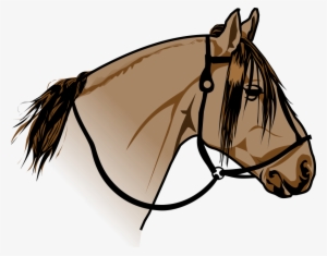 Desenho Disponível Em Vetor - Cavalo Crioulo Png