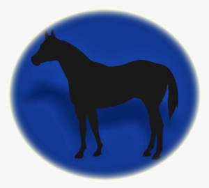 Escola De Equitação - Stallion