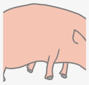 Porky Pig Vietnamese Pot-bellied Cartoon Drawing - Cartoon Pig