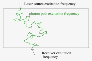 Random Walk Of Laser Light Through Tissue - Photon