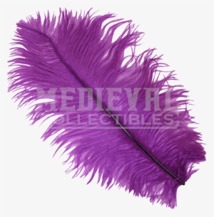 Purple Ostrich Feather Plume - Zucker Feather - Ostrich Feathers-drabs Selected -