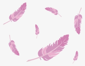 Report Abuse - Pink Feathers Png