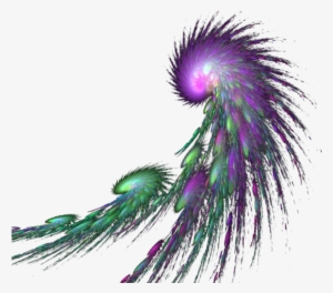 Mq Green Purple Feather Feathers - Creativity