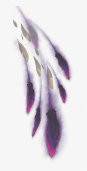 Explore - Fur