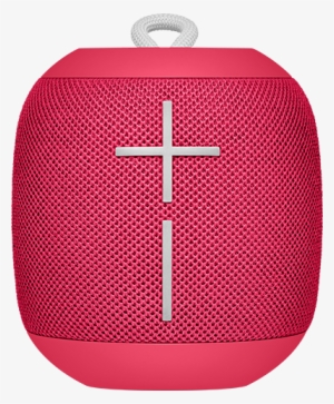 Raspberry - Pink Wonderboom