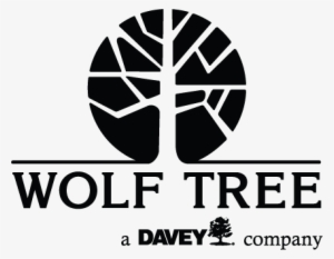 Wolf Tree Service