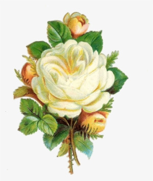 Rosebud Cliparts Frame - Garden Roses