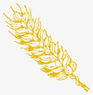 Grains Clipart Gold Wheat