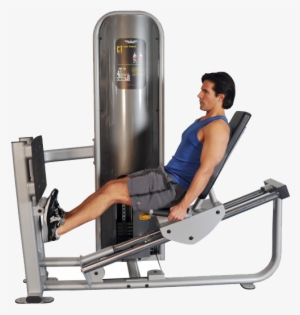When You Think Of The Typical Beach Body, Most People - Leg Press Calf Raise Machine