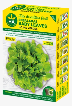 Hojas Verdes