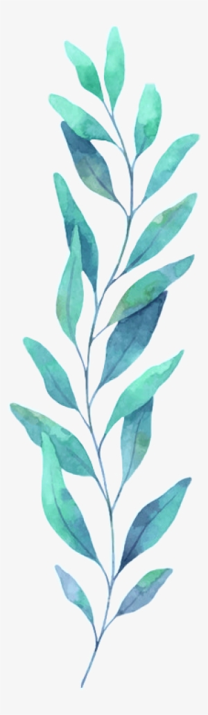 Hoja Verde Green Sheet Spring - Watercolor Eucalyptus