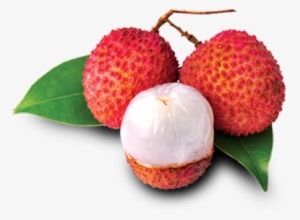 Fresh Litchi - Benefits Of Lychee Fruit