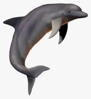 Dolphin Png,fish Png,picsartallpng - Dolphin Transparent Background