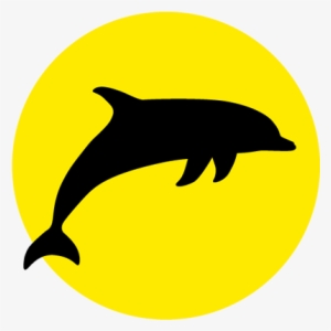 bay explorer island & wildlife tour cruise in tauranga, - icon dolphin