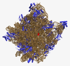 50s-subunit Of The Ribosome 3cc2 - Ribosome Transparent Background