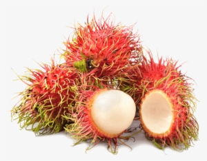 Thumb Image - Exotic Fruit Rambutan