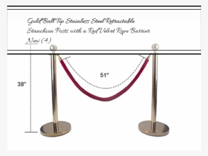 Gold Ball Top Stainless Steel Retractable Stanchion - Steel