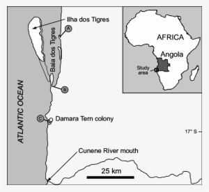 The Baia Dos Tigres Coast, Angola, Indicating The Locality - Tigres Island