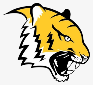 Ipatinga Tigres