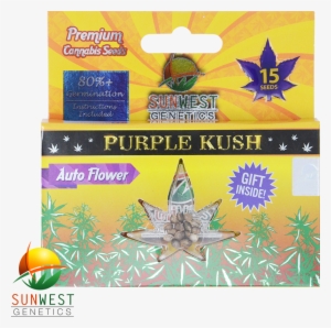 Purple Kush Wholesale Cannabis Seeds - Kush