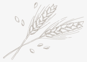 Illustration Illustration - Illustration