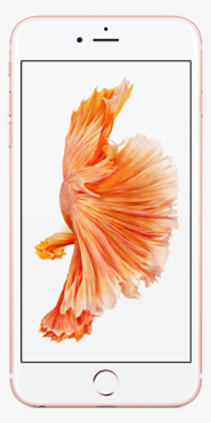 Iphone 6s Plus 32gb Rose Gold - Apple Iphone 6s Plus 128gb Sim Free / Unlocked (rose