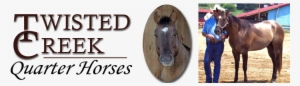 Twisted Creek Quarter Horses For Sale Franklin Nc North - North Carolina
