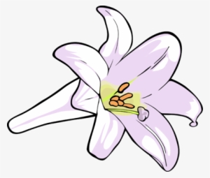 Collection Of Easter Lily Clipart Png High Quality, - Clip Art Of Lily