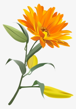 Clip Art Image Clipart Pinterest - Aroma Magic Aromatherapy Essential Oil Vertiver